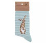 Wrendale Socks Hare