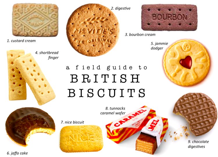 Biscuit 