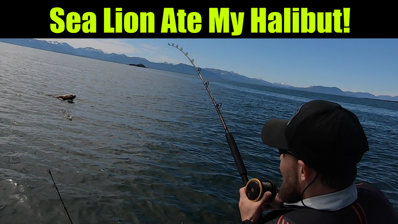 Captain Zac vs. Sea Lion! Captain Zac vs. Sea Lion!