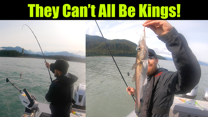 They Can't All Be Kings! They Can't All Be Kings!