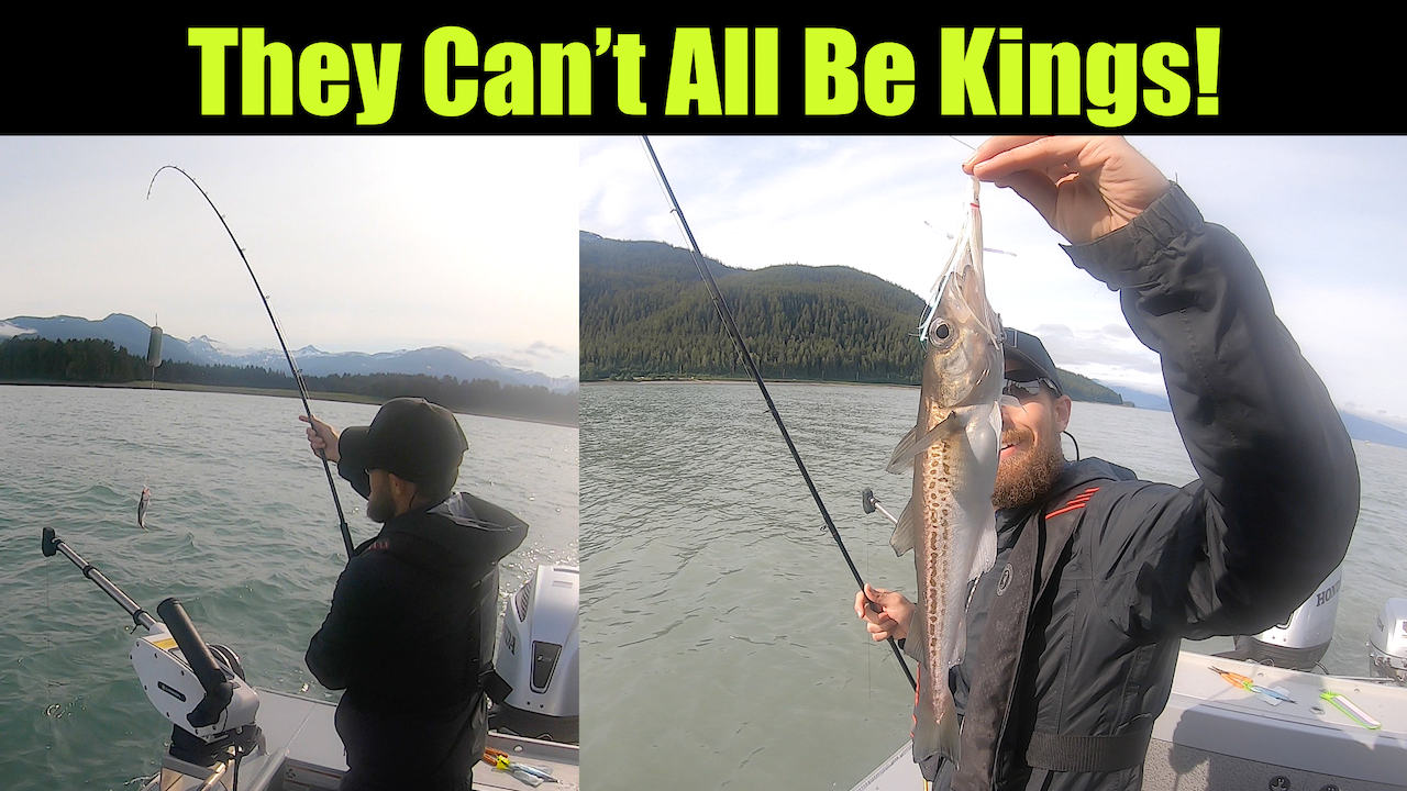 They Can't All Be Kings!