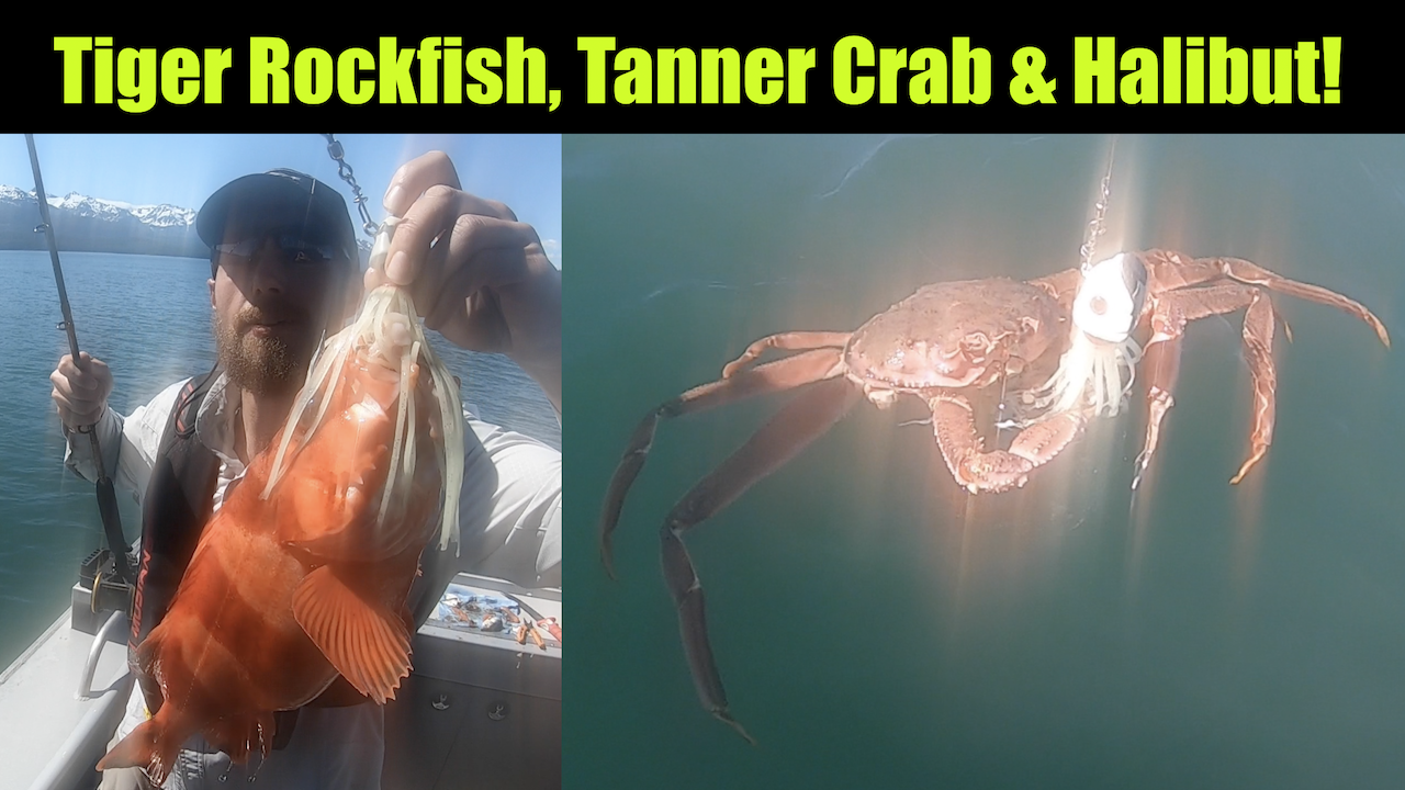 Tiger Rockfish, Tanner Crab and Halibut of Course!
