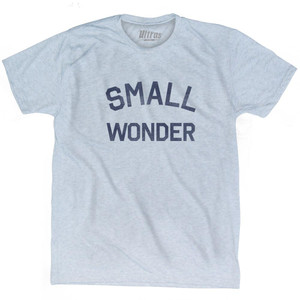 Delaware Small Wonder Nickname Adult Tri-Blend T-Shirt - Athletic White