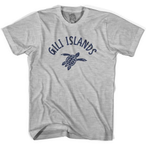 Gili Islands Beach Sea Turtle Womens Cotton T-Shirt - Grey Heather