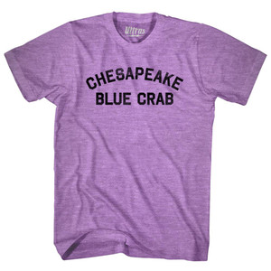 Chesapeake Blue Crab Adult Tri-Blend T-shirt - Athletic Purple