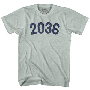 2036 Year Celebration Adult Tri-Blend T-shirt - Athletic Cool Grey