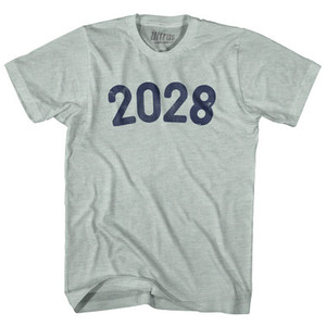 2028 Year Celebration Adult Tri-Blend T-shirt - Athletic Cool Grey 2028 Year Celebration Adult Tri-Blend T-shirt - Athletic Cool Grey