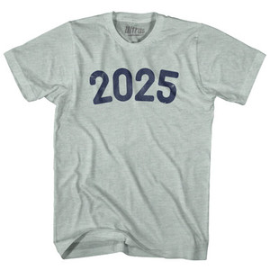 2025 Year Celebration Adult Tri-Blend T-shirt - Athletic Cool Grey 2025 Year Celebration Adult Tri-Blend T-shirt - Athletic Cool Grey