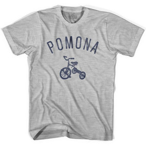 Pomona City Tricycle Womens Cotton T-shirt - Grey Heather