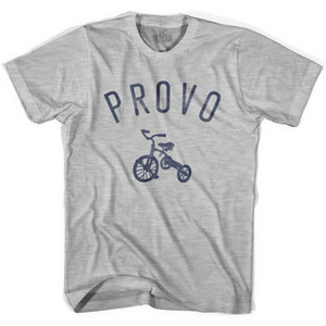 Provo City Tricycle Youth Cotton T-shirt - Grey Heather