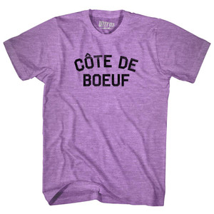 Cote De Boeuf Adult Tri-Blend T-shirt - Athletic Purple