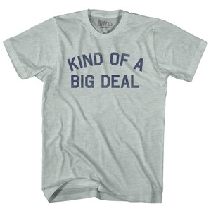 Kind Of A Big Deal Adult Tri-Blend T-shirt - Athletic Cool Grey