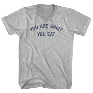 You Are What You Eat Adult Cotton V-neck T-shirt - Grey Heather