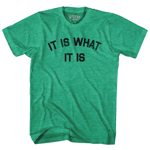 It Is What It Is Adult Tri-Blend T-shirt - Heather Green