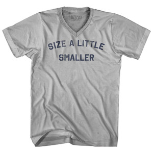 Size A Little Smaller Adult Tri-Blend V-neck T-shirt - Cool Grey