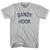 New Jersey Sandy Hook Adult Cotton Vintage T-Shirt - Cool Grey