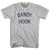New Jersey Sandy Hook Adult Cotton Vintage T-Shirt - Grey Heather