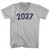 2037 Year Celebration Adult Tri-Blend V-neck T-shirt - Cool Grey 2037 Year Celebration Adult Tri-Blend V-neck T-shirt - Cool Grey