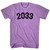 2033 Year Celebration Adult Tri-Blend T-shirt - Athletic Purple 2033 Year Celebration Adult Tri-Blend T-shirt - Athletic Purple