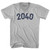 2040 Year Celebration Adult Tri-Blend V-neck T-shirt - Cool Grey