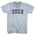 2023 Year Celebration Adult Tri-Blend V-neck T-shirt - Athletic White