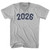 2026 Year Celebration Adult Tri-Blend V-neck T-shirt - Cool Grey 2026 Year Celebration Adult Tri-Blend V-neck T-shirt - Cool Grey