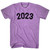 2023 Year Celebration Adult Tri-Blend T-shirt - Athletic Purple