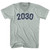 2030 Year Celebration Adult Tri-Blend V-neck T-shirt - Athletic Cool Grey
