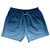 Tide Ombres Swim Shorts 5" - Navy