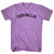 Corvallis Adult Tri-Blend T-shirt - Athletic Purple