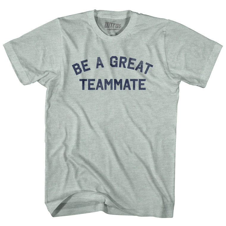 Be A Great Teammate Adult Tri-Blend T-shirt - Athletic Cool Grey