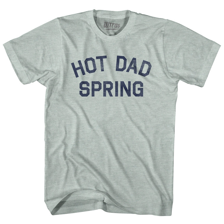 Hot Dad Spring Adult Tri-Blend T-shirt - Athletic Cool Grey