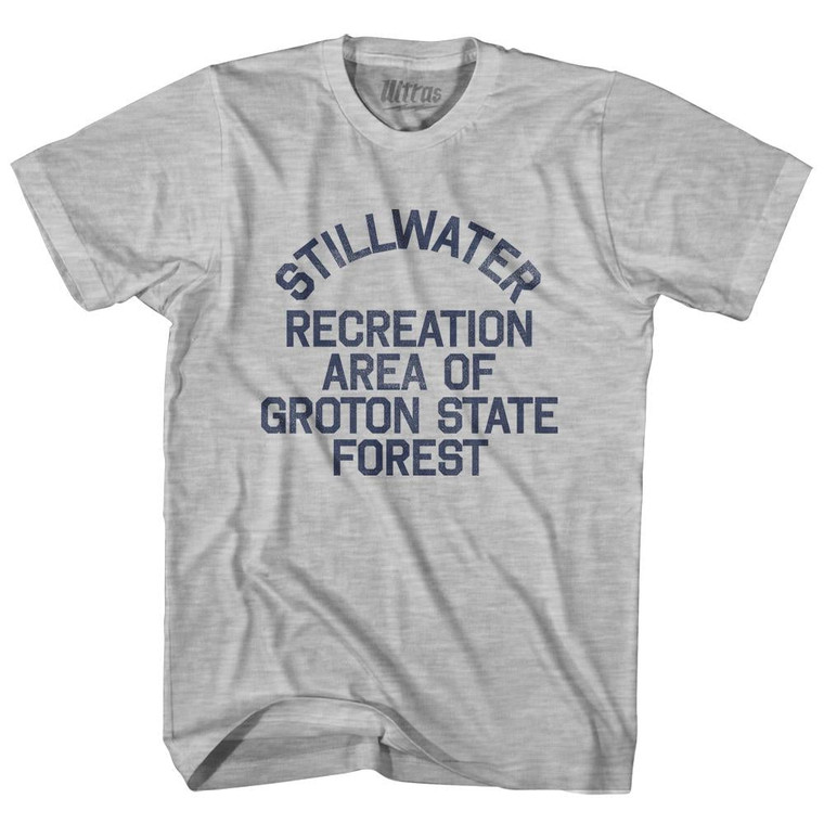 Vermont Stillwater Recreation Area of Groton State Forest Adult Cotton Vintage T-Shirt - Grey Heather