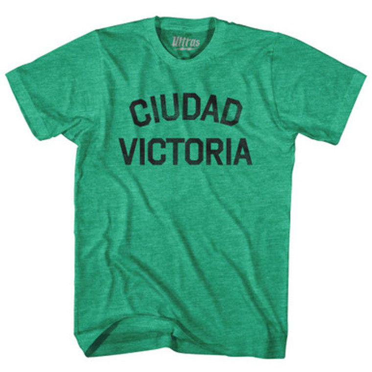 Ciudad Victoria Adult Tri-Blend T-Shirt by Ultras