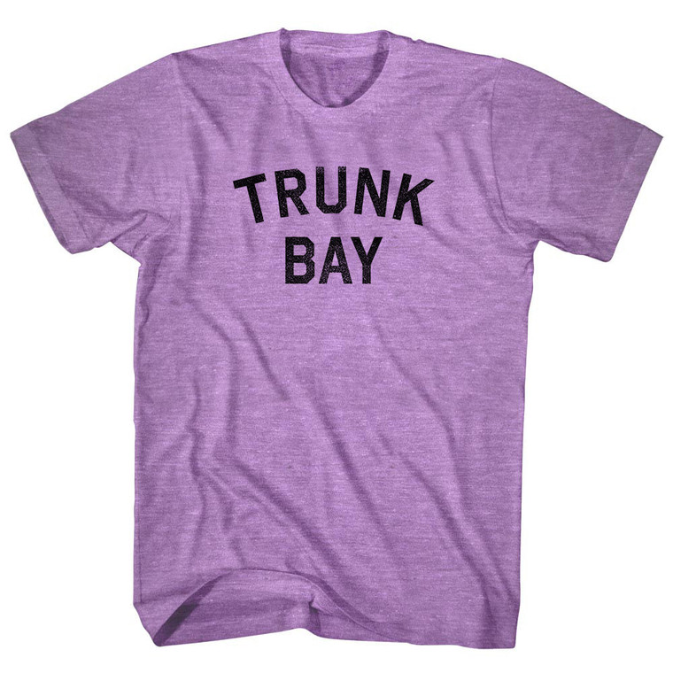 Trunk Bay Adult Tri-Blend T-shirt - Athletic Purple