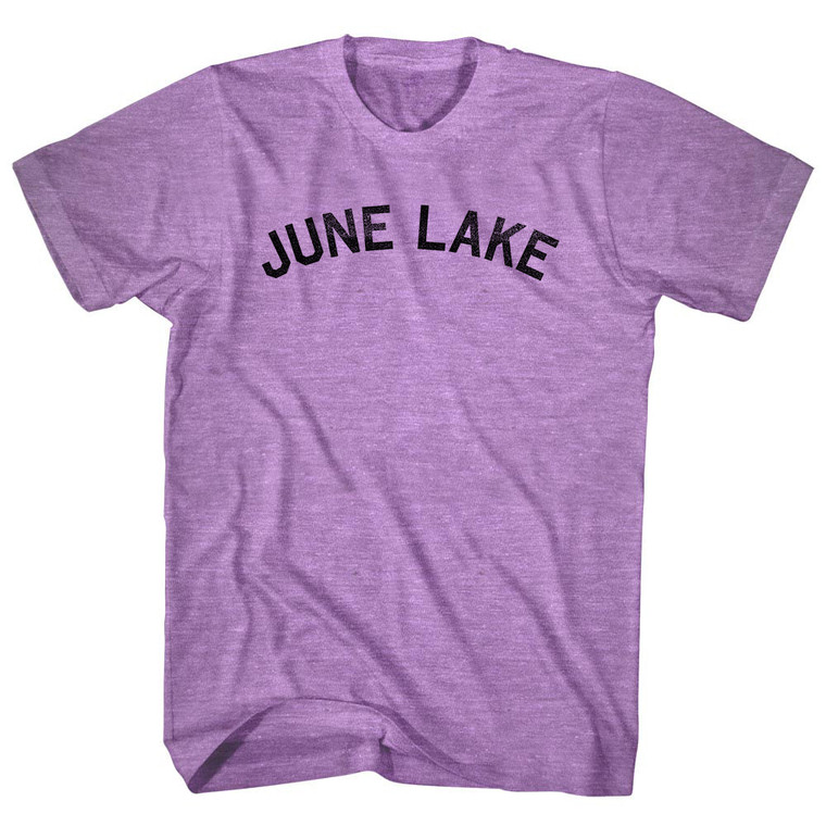 June Lake Adult Tri-Blend T-shirt - Athletic Purple
