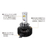 LED Head Lamp Bulb Force Ray PH7