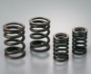 Reinforced Valve Spring Set Honda APE100