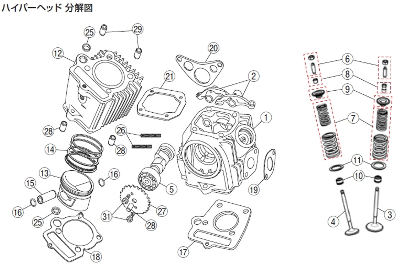 Repair Hyper Head - Valve Spring Set