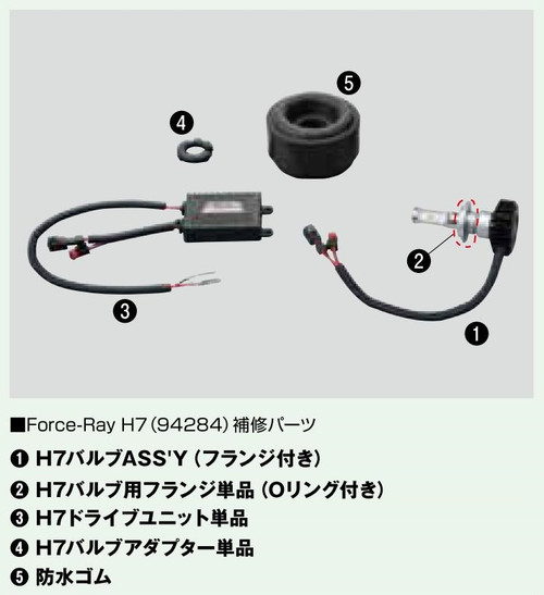 Force Ray H7 Lamp