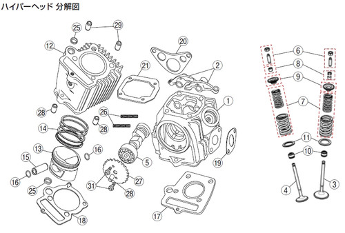 Repair Hyper Head - Rocker Arm Set Screw & Nut