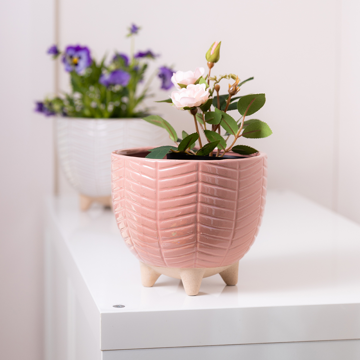 Our favourite dream pot on Sill & Sage