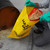 Hazardous Material Disposal Bags, Case of 250, Yellow (ENP HAZBAG) Hazardous Material Disposal Bags, Case of 250, Yellow (ENP HAZBAG)