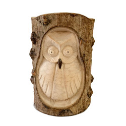 Hand Carved Owl in a Log