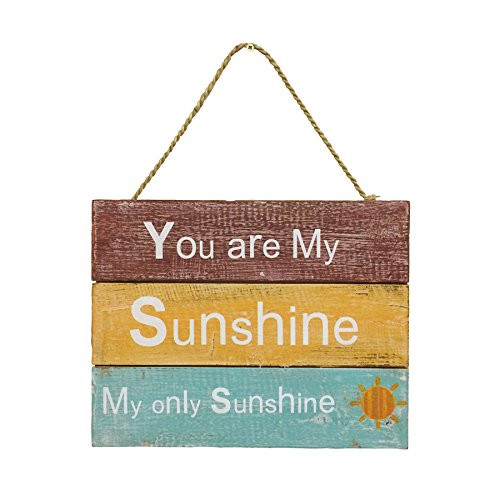 Wooden Hanging Sign You Are My Sunshine