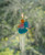 Angel Shaped Wind Chime Sun Catcher