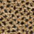 104|Brown,Bronze|104 conchiglia/carbonio