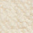 003|Ivory|3 brebis