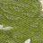 009|Green|9 cactus