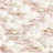 001|White|1 petalo